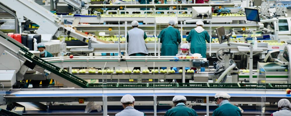 chaine-de-production-alimentaire-pomme